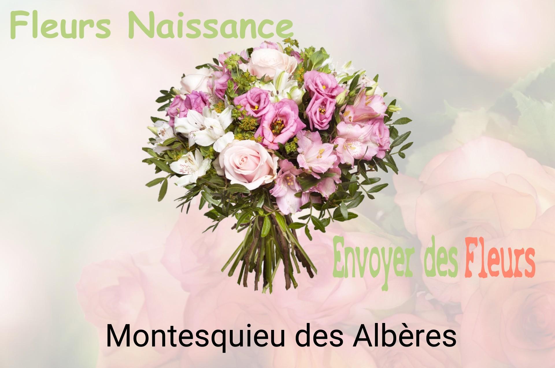 Bouquet de fleurs de naissance livré à Montesquieu-des-Albères