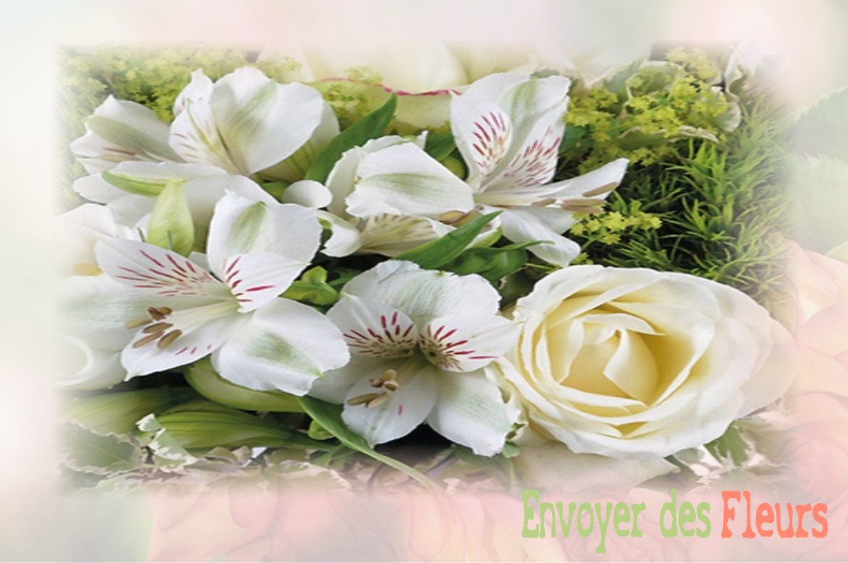 envoyer des fleurs à à MONTESQUIEU-DES-ALBERES